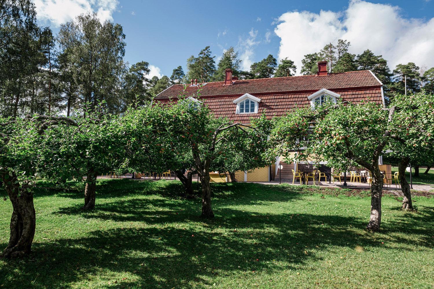 Tammiston Cottages Наанталі Екстер'єр фото
